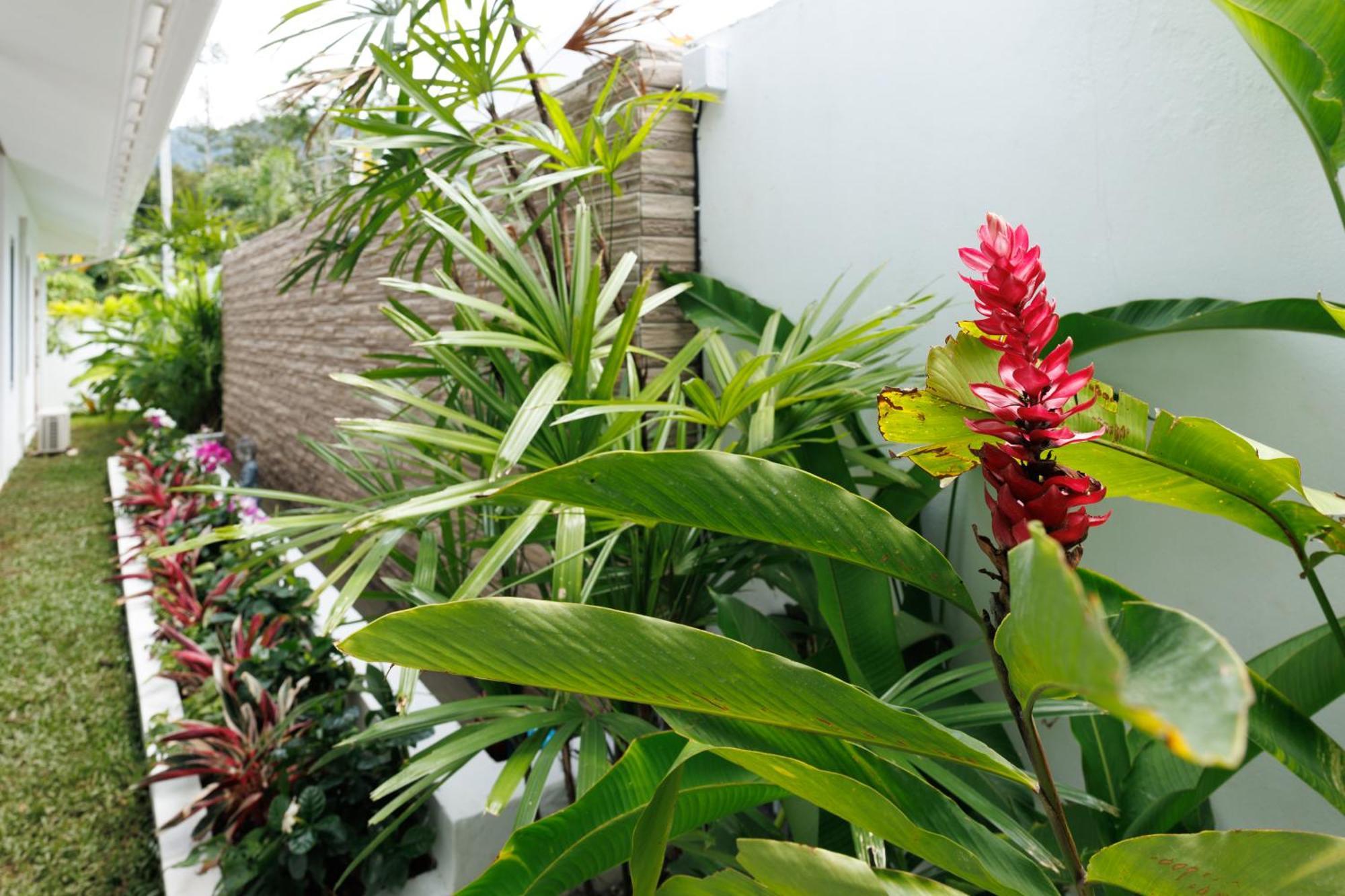 Leila - 3br Lamai - Pool - Modern & Calm *